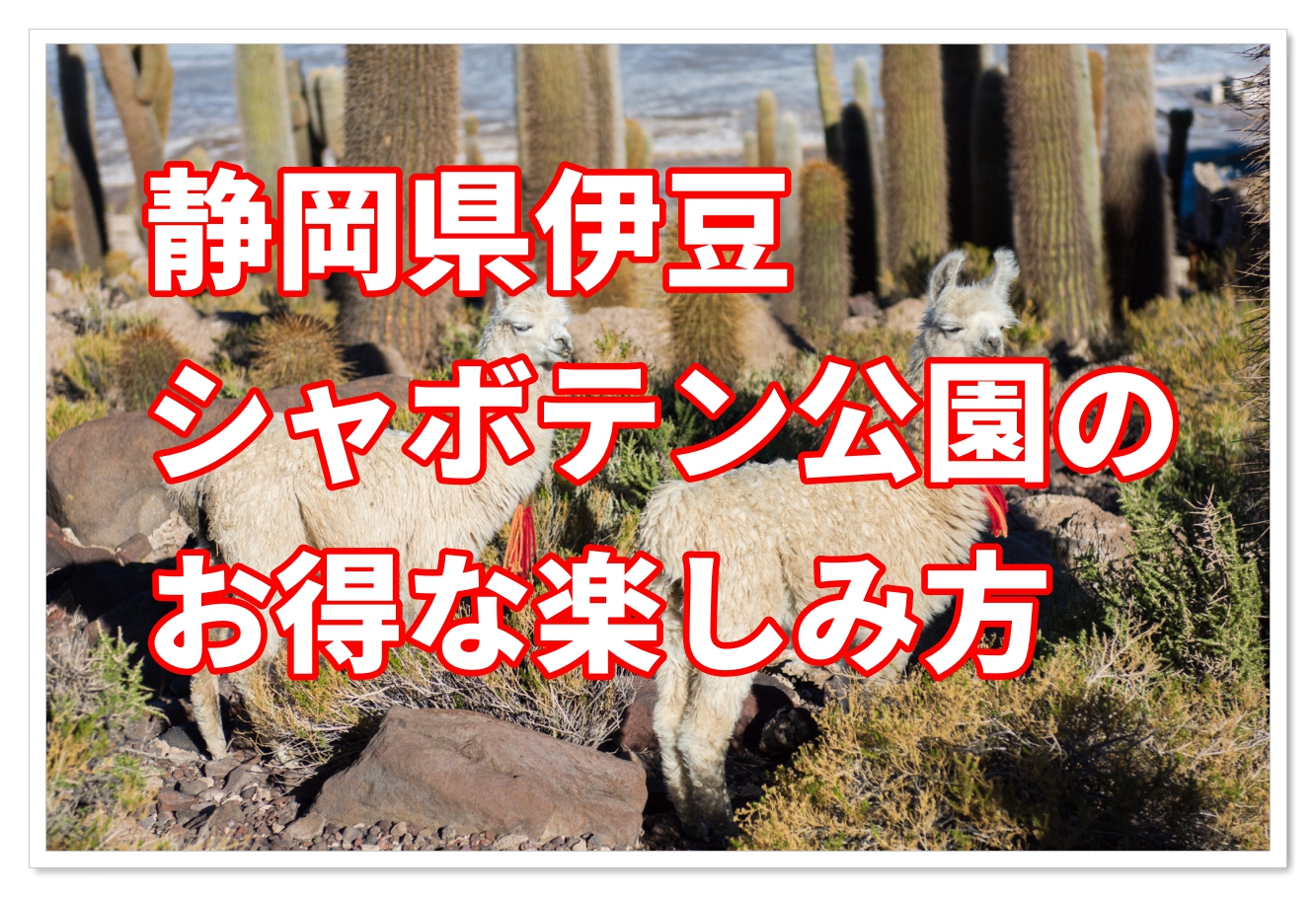 静岡県の動物園 伊豆シャボテン動物公園のカピバラを割引料金で観察 子連れ旅行を楽しむ鉄板ブログ もう国内旅行は迷わせない