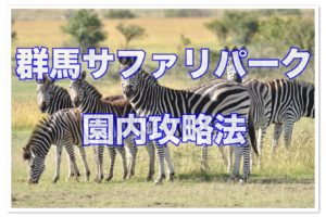 群馬サファリパーク割引料金は コンビニクーポンでお得 子連れ旅行を楽しむ鉄板ブログ もう国内旅行は迷わせない