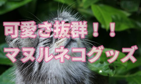 上野動物園の人気動物おすすめランキング12選 パンダは何位 子連れ旅行を楽しむ鉄板ブログ もう国内旅行は迷わせない