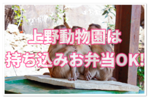 飼育員から聞いた 上野動物園の料金を安くする方法全部教えます 子連れ旅行を楽しむ鉄板ブログ もう国内旅行は迷わせない