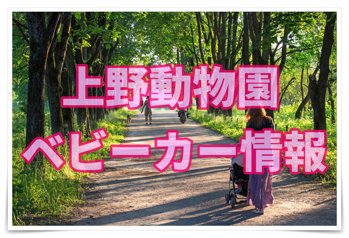 上野動物園の最新ベビーカー情報 貸し出しは 置き場や預かりは 子連れ旅行を楽しむ鉄板ブログ もう国内旅行は迷わせない
