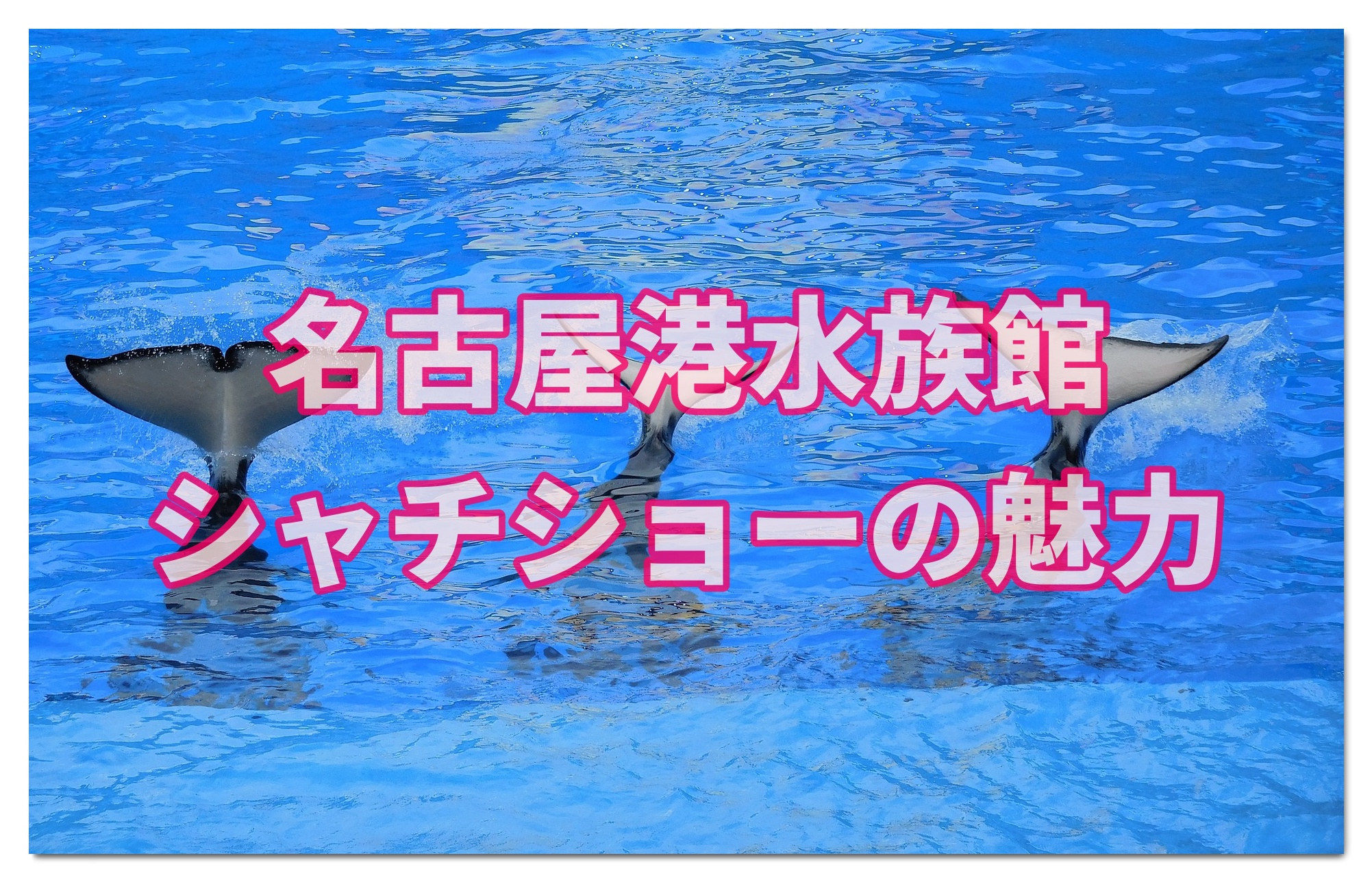 名古屋港水族館はシャチを西日本で唯一観られる貴重な水族館 子連れ旅行を楽しむ鉄板ブログ もう国内旅行は迷わせない