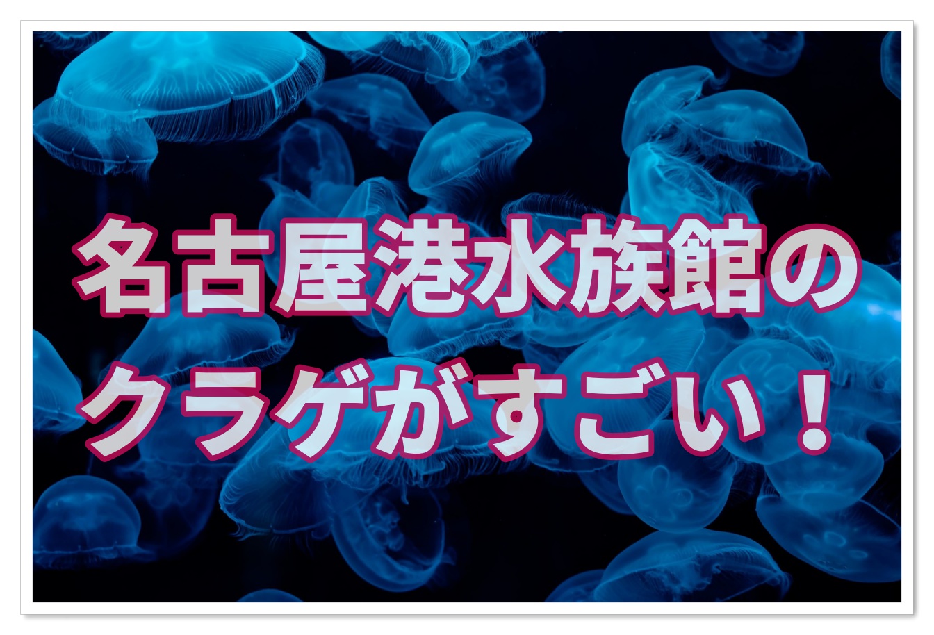 名古屋港水族館のクラゲがすごい クラゲに癒される理由とは 子連れ旅行を楽しむ鉄板ブログ もう国内旅行は迷わせない