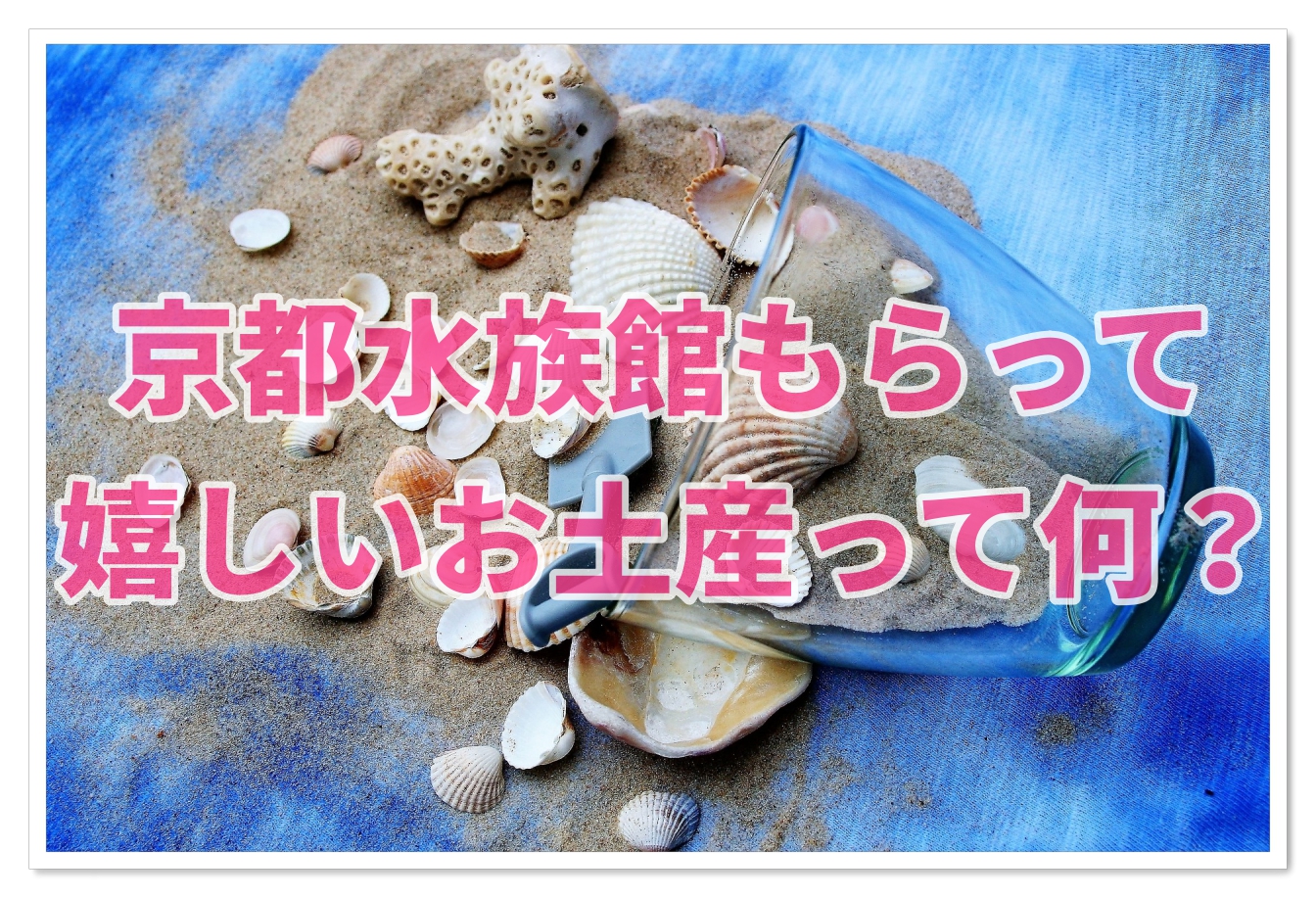 京都水族館のお土産は 推し もらって嬉しいお土産を調査 子連れ旅行を楽しむ鉄板ブログ もう国内旅行は迷わせない