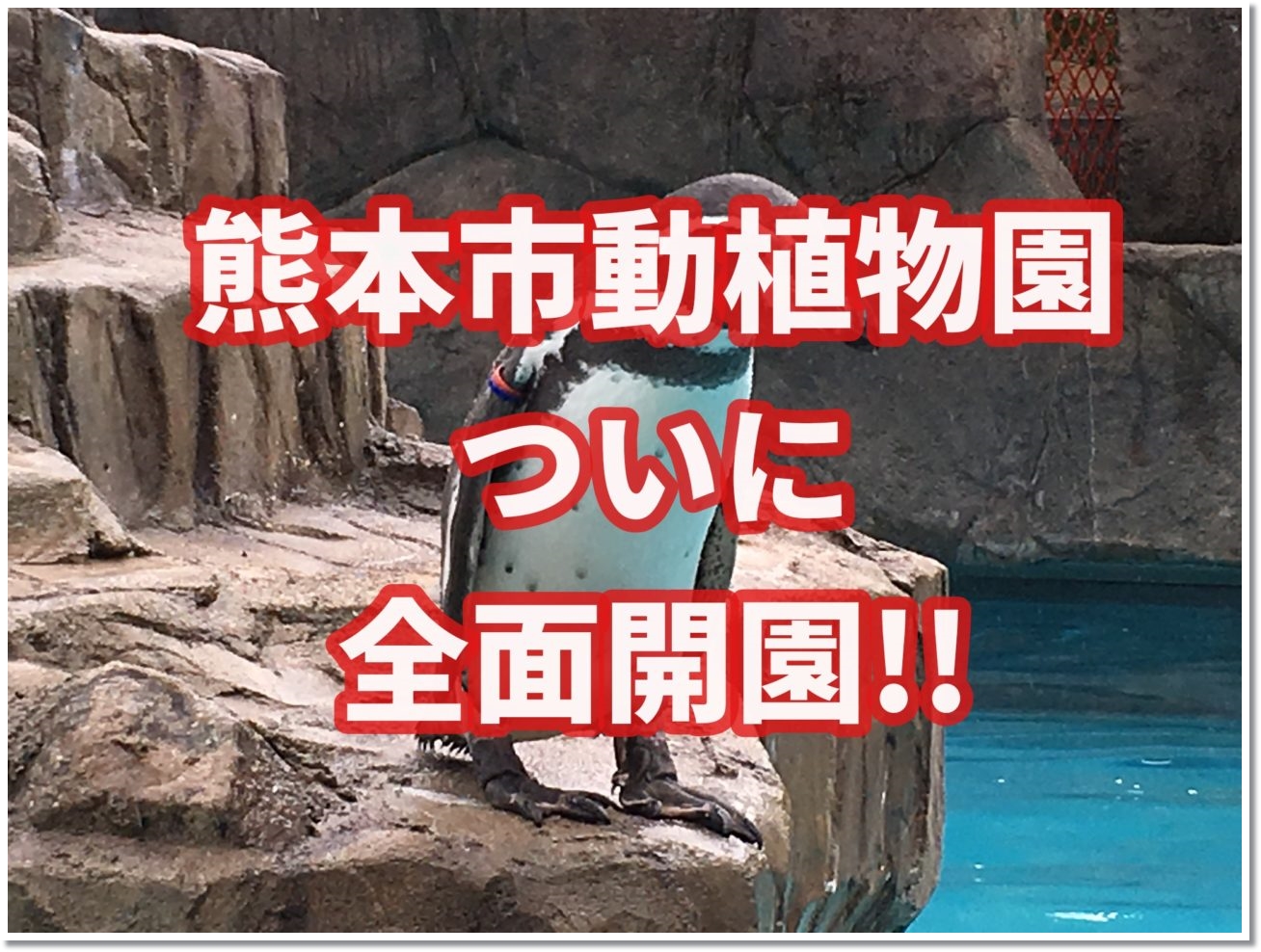熊本市動植物園がついに全面開園 駐車場と入園料をお得にしよう 子連れ旅行を楽しむ鉄板ブログ もう国内旅行は迷わせない