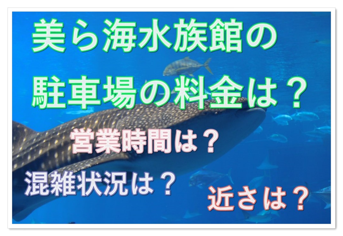 料金 水族館 美 海 ら 沖縄レンタカーなしで美ら海水族館！乗り物は何が便利か？